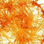  Contemporary Art -- Moder..